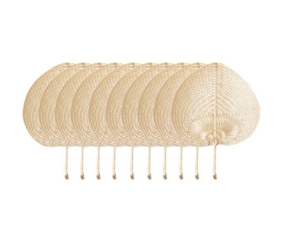 Raffia Hand Fans- 10 piece - Image 3